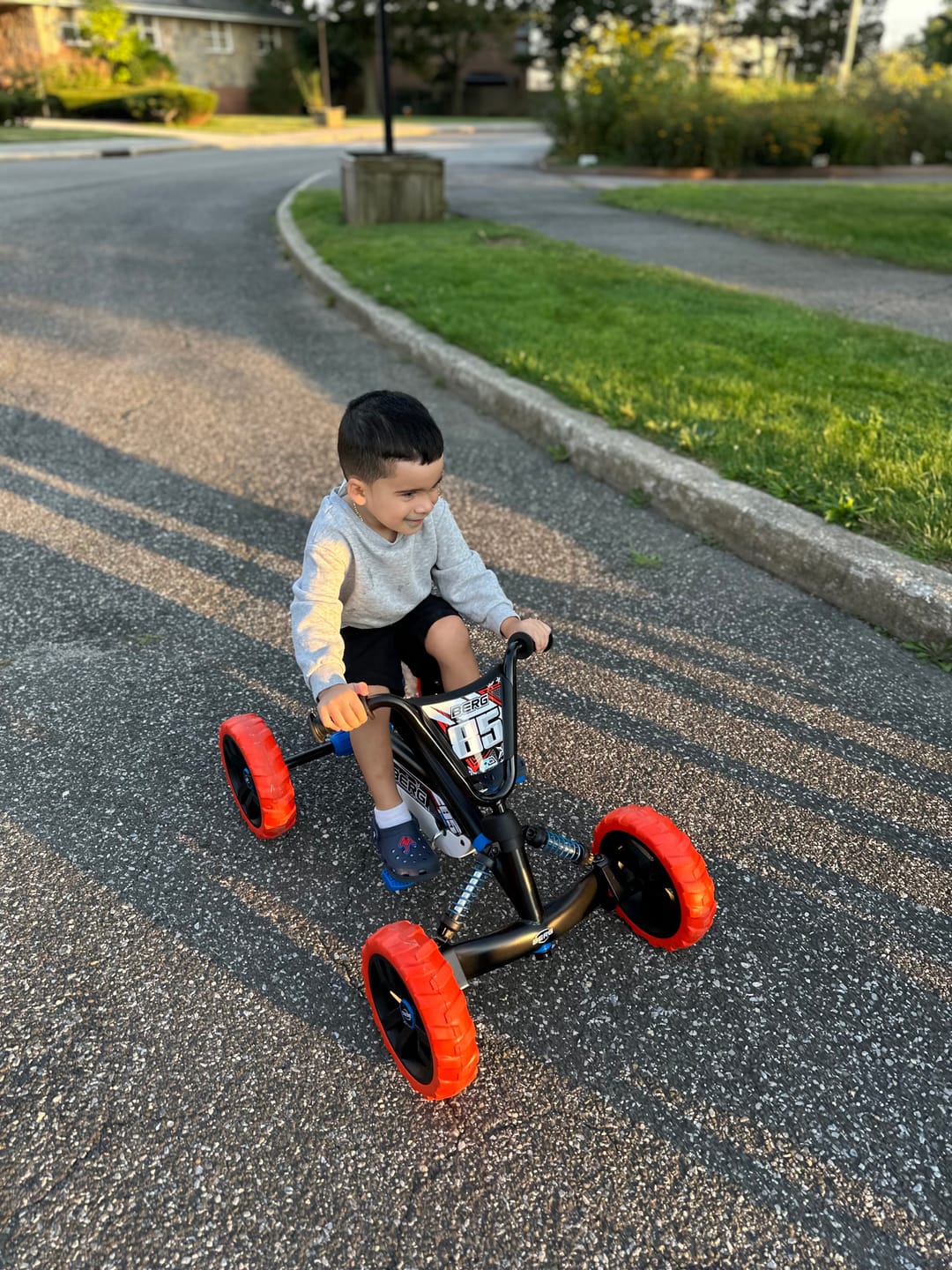 Customer photo review of BERG Buzzy