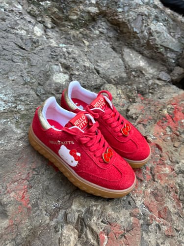 Customer photo review of HK Aniv Especial Edition