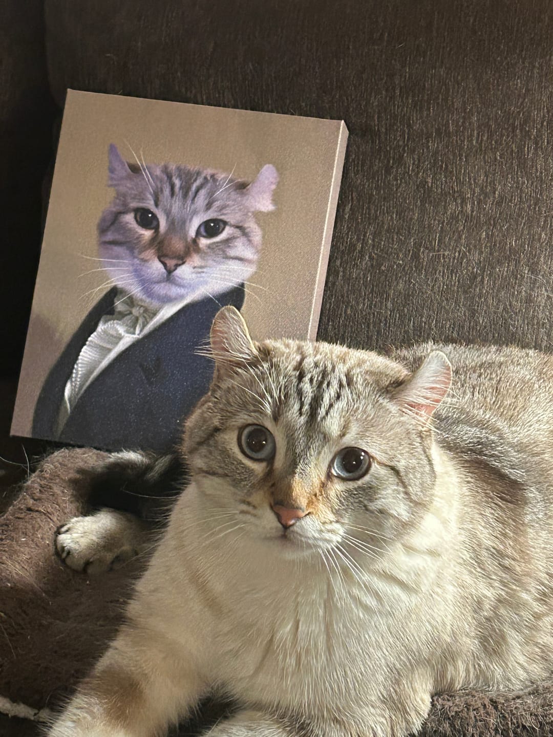 Customer photo review of Le Député