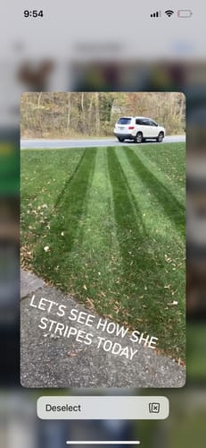 Customer photo review of GCI Turf Spreader Elite Grass Seed