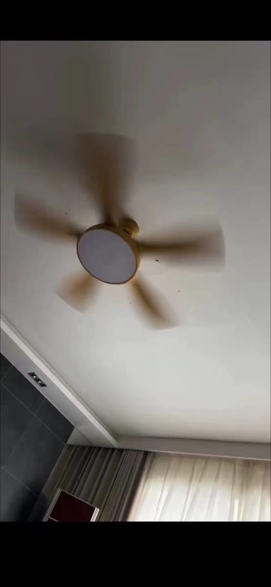 Customer photo review of WOMO Scandi Reversible Ceiling Fan with Light-WM5002