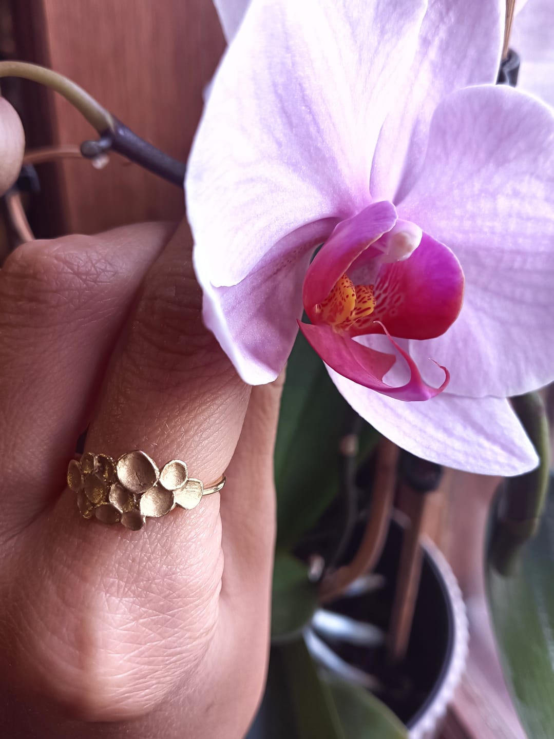 Customer photo review of Anel Simone