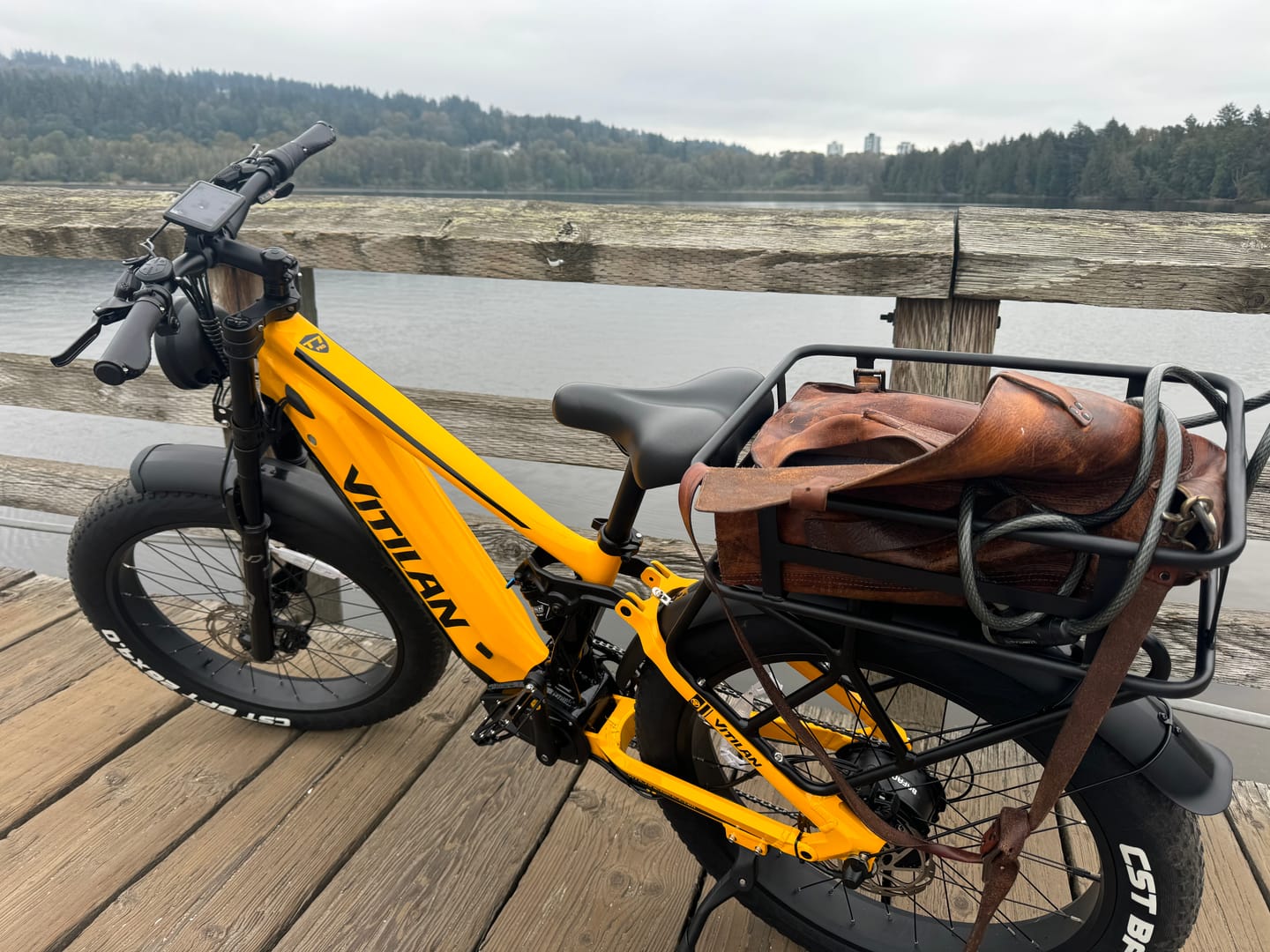 Customer photo review of T7 Full Suspension Mountain E-bike