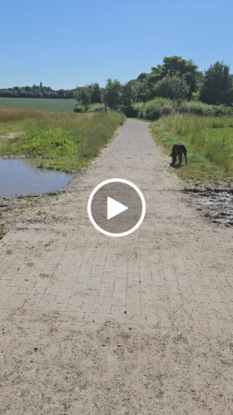 Customer video review of Sicherheitsgeschirr FUN "Volcano Black"