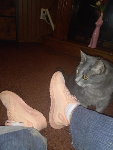 Customer photo review of Breeze Walk