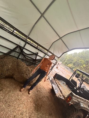 Customer photo review of Hay Chix® Large Bale Net - 6'