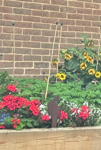 Customer photo review of Small Rusty Metal Soldier Garden Statue