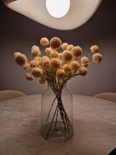 Customer photo review of Zijden Kiku Bloemen - Crème (10 stengels)