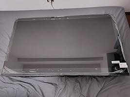 Customer photo review of 43 inch Canvas Series Google TV