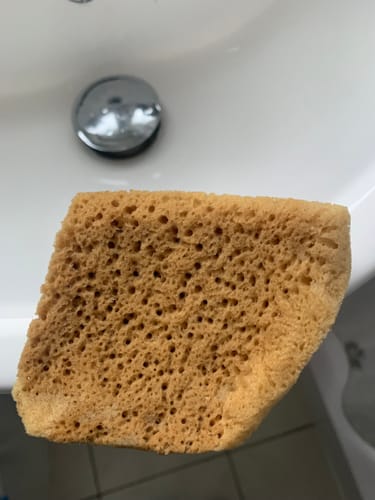 Customer photo review of Face Care Natural Sea Sponges