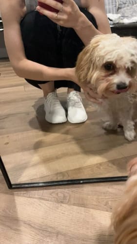 Customer photo review of Breeze Walk