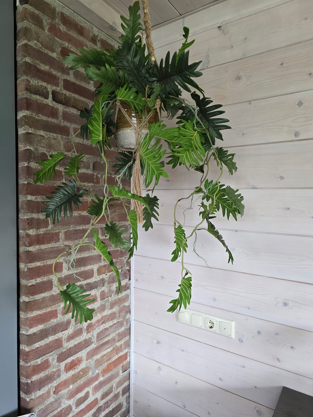 Customer photo review of Philodendron Kunst Hangplant 95cm