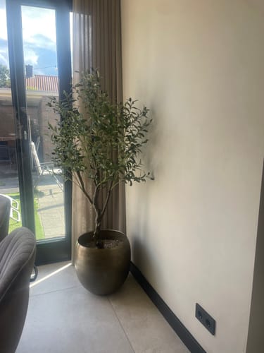 Customer photo review of Kunst Olijfboom 150cm