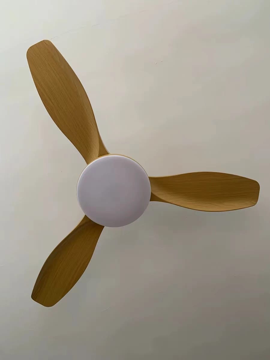 Customer photo review of WOMO Scandi Reversible Ceiling Fan with Light-WM5002