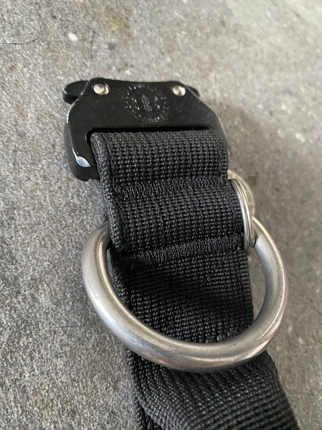 Customer photo review of 4cm Combat® Collar | With Handle & Rated Clip - Black v2.0
