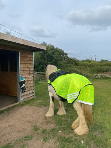 Customer photo review of Rhinegold Bright Yellow Cutaway Mesh Ride On Rug