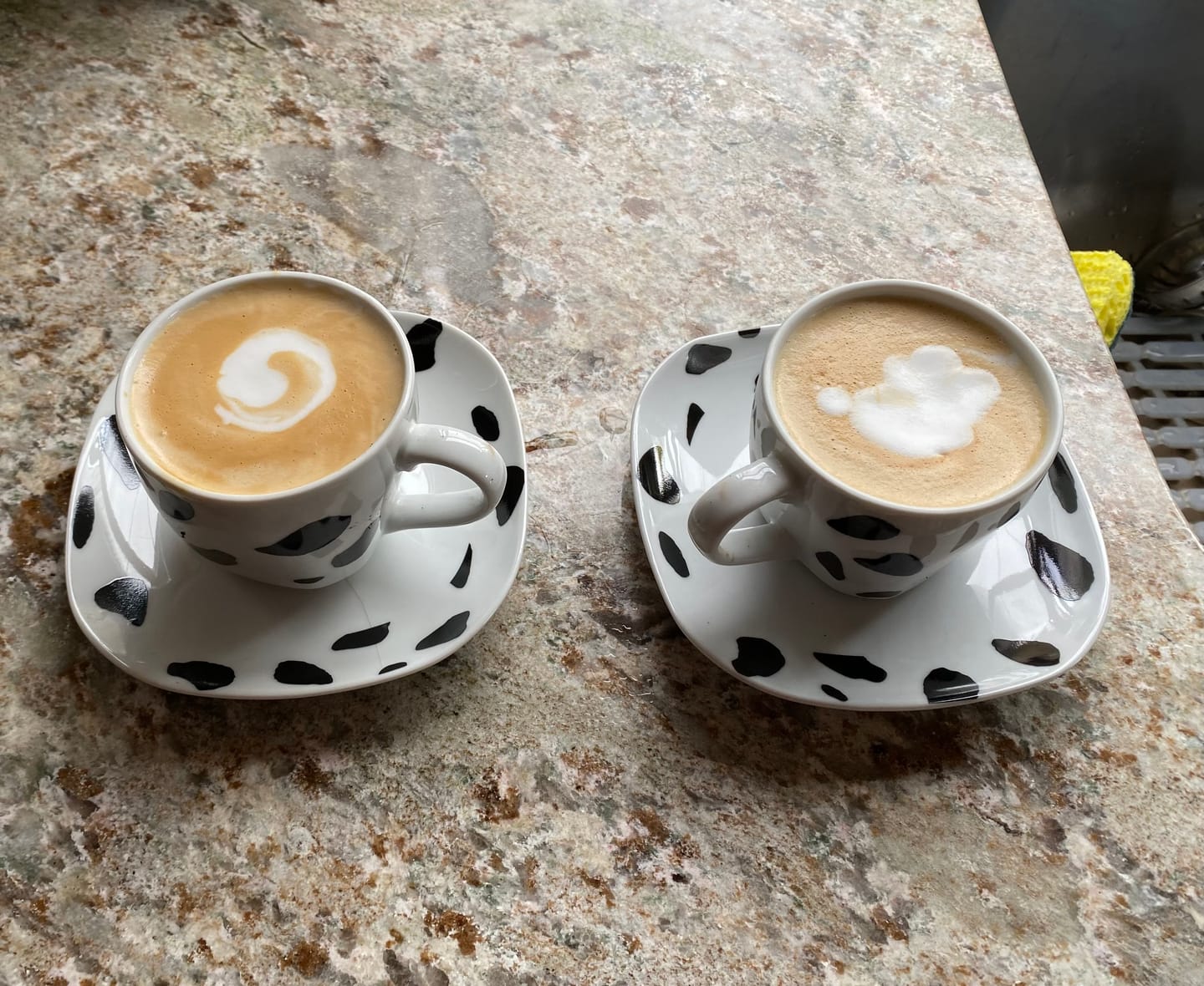 Customer photo review of COSTA RICAN ESPRESSO COFFEE 2LB