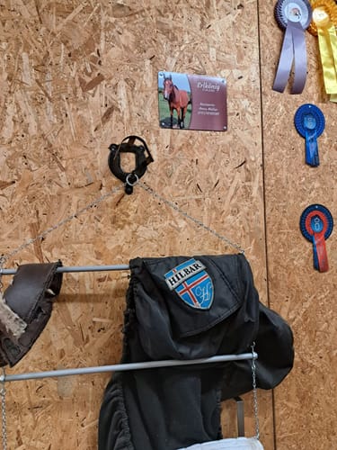 Customer photo review of Pferde Boxenschild mit Foto & Wunschtext (UV- und wetterfest)