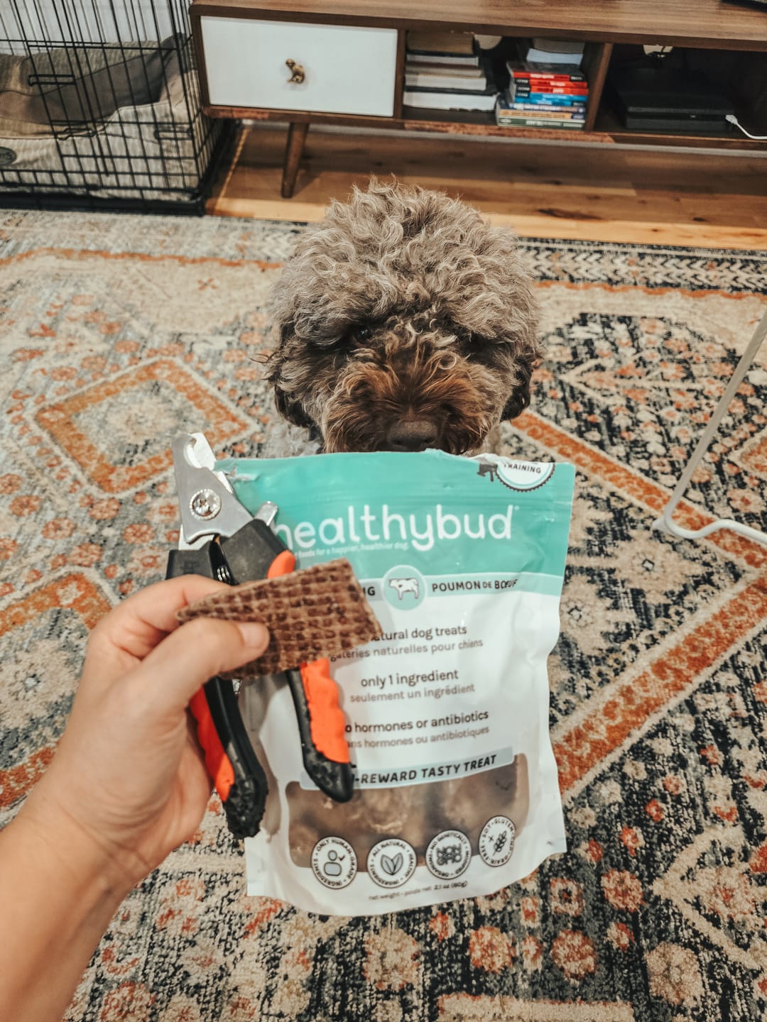 Customer photo review of Beef Lung Wafers