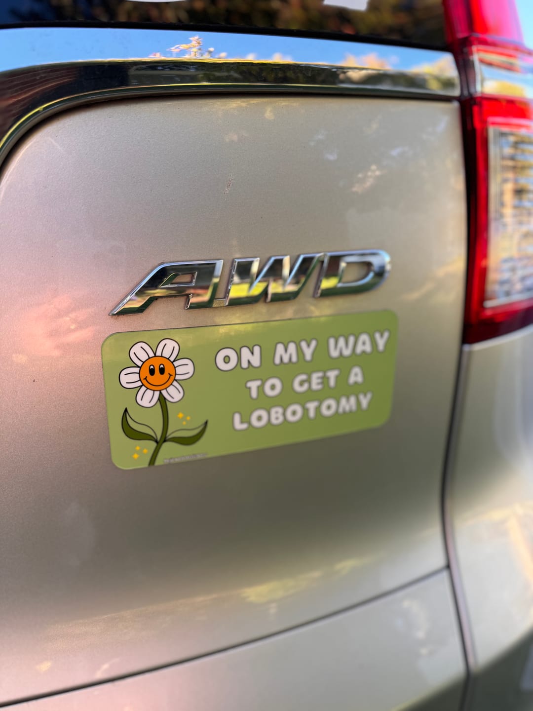 Customer photo review of On My Way To Get A Lobotomy