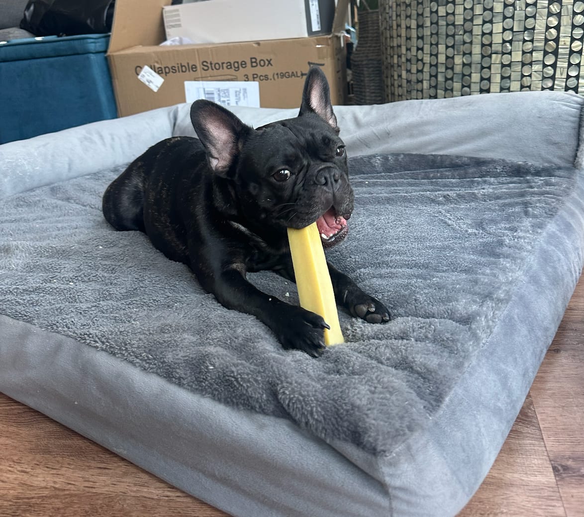 Customer photo review of Himalayan Yak Chew (MEDIUM)