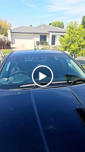 Customer video review of Holden