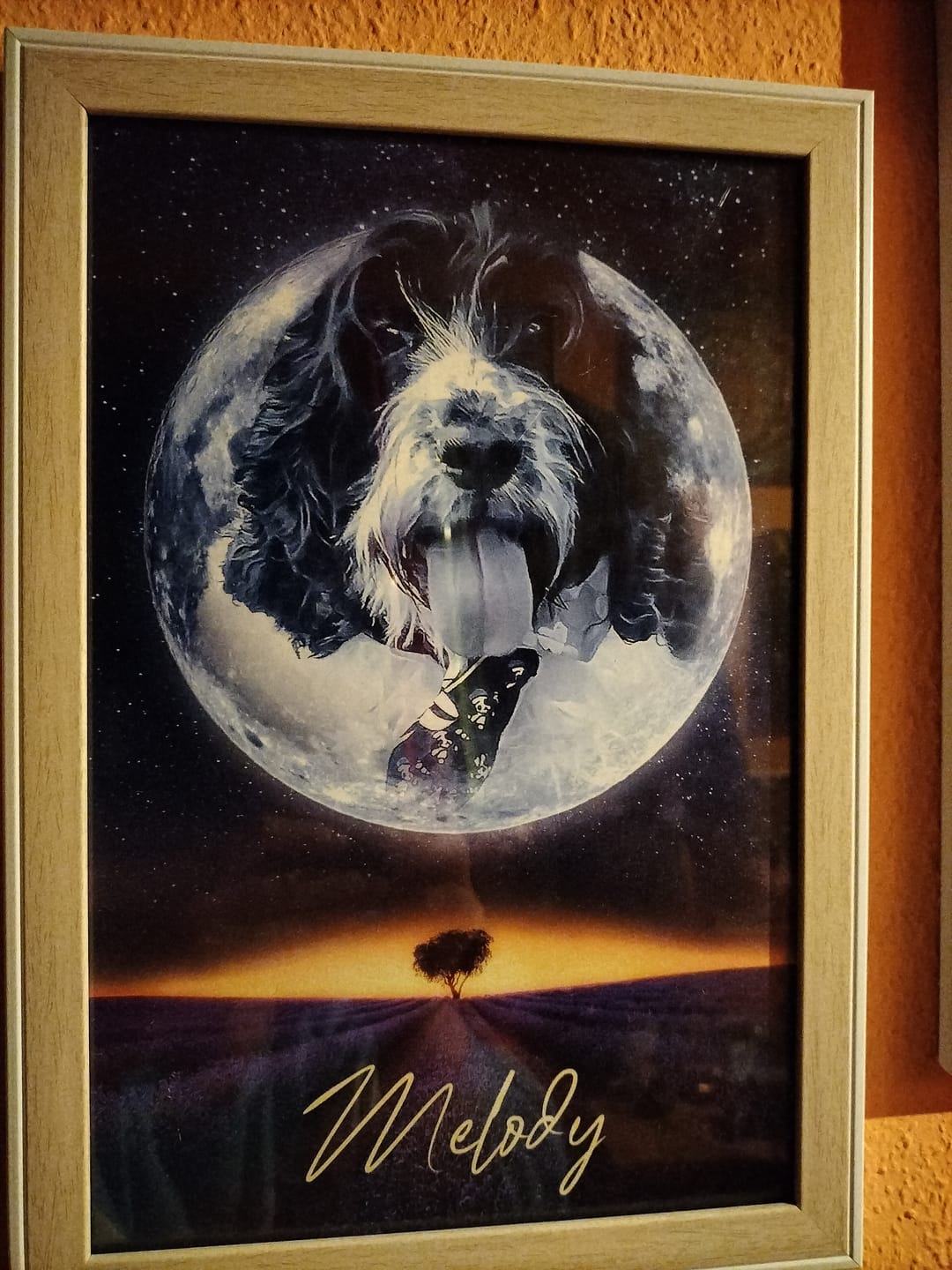 Customer photo review of Personalisiertes Portrait - Mond Stil