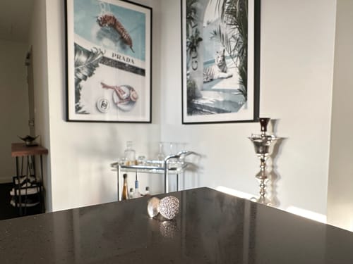 Customer photo review of FROST (SILVER)