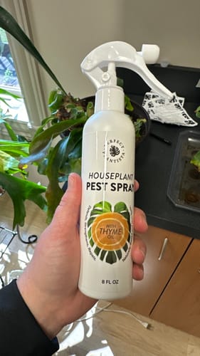 Customer photo review of Houseplant Pest Spray