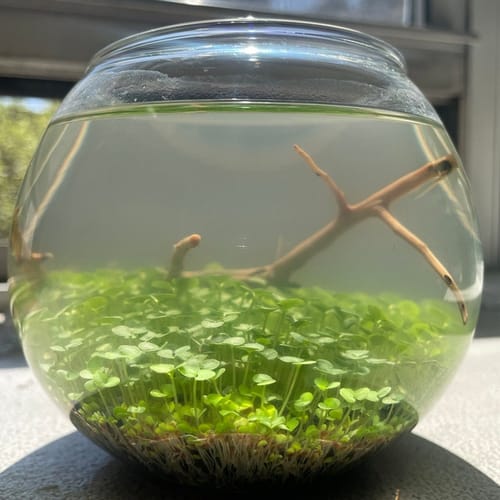 Review photo by lkottu