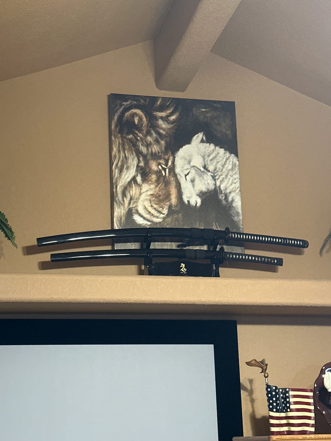 Customer photo review of Compassion of a King