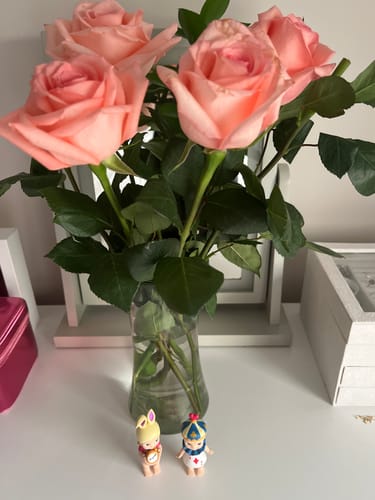 Customer photo review of Sonny Angel Carnival Blind Box