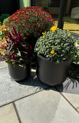 Customer photo review of Thomas