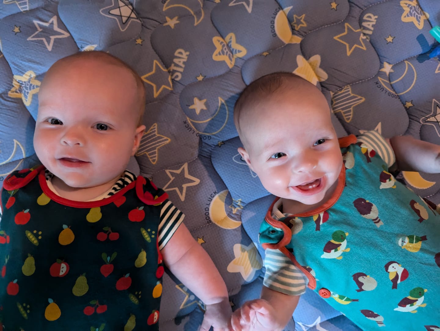 Customer photo review of Garden Birds Everyday Dungarees