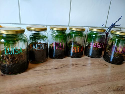 Customer photo review of Flaschengarten-Kindergeburtstags-Set