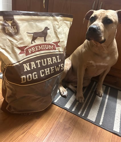 Customer photo review of Natural Cow Ear