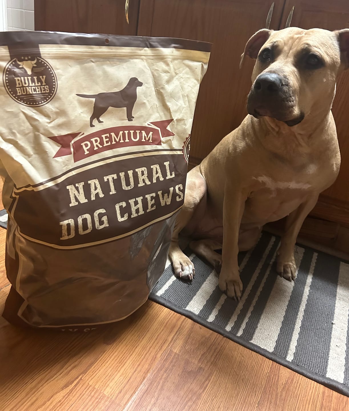 Customer photo review of Natural Cow Ear