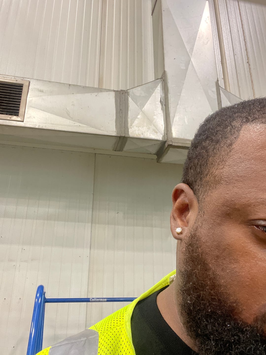 Customer photo review of 6MM Moissanite Earrings