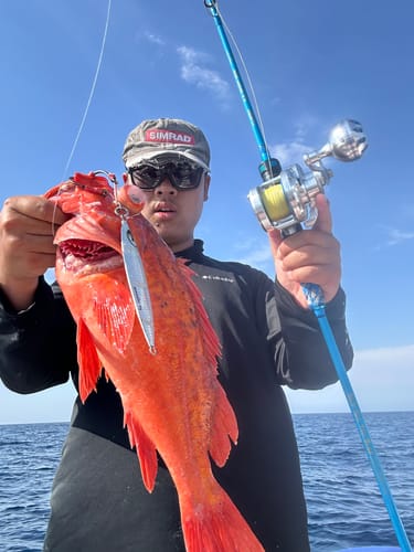 Customer photo review of GOOFISH® Solid Nano 6'6" (195cm) Best Slow Pitch Jigging Fuji Saltwater Jig Pole Light Micro Shore Jigging Rod Offshore Jigging Fishing Rods