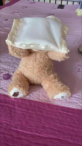 Customer photo review of FreddyTeddy - für stundenlangen Spielspaß
