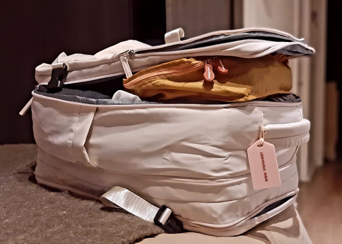 Customer photo review of Royal Travel Backpack