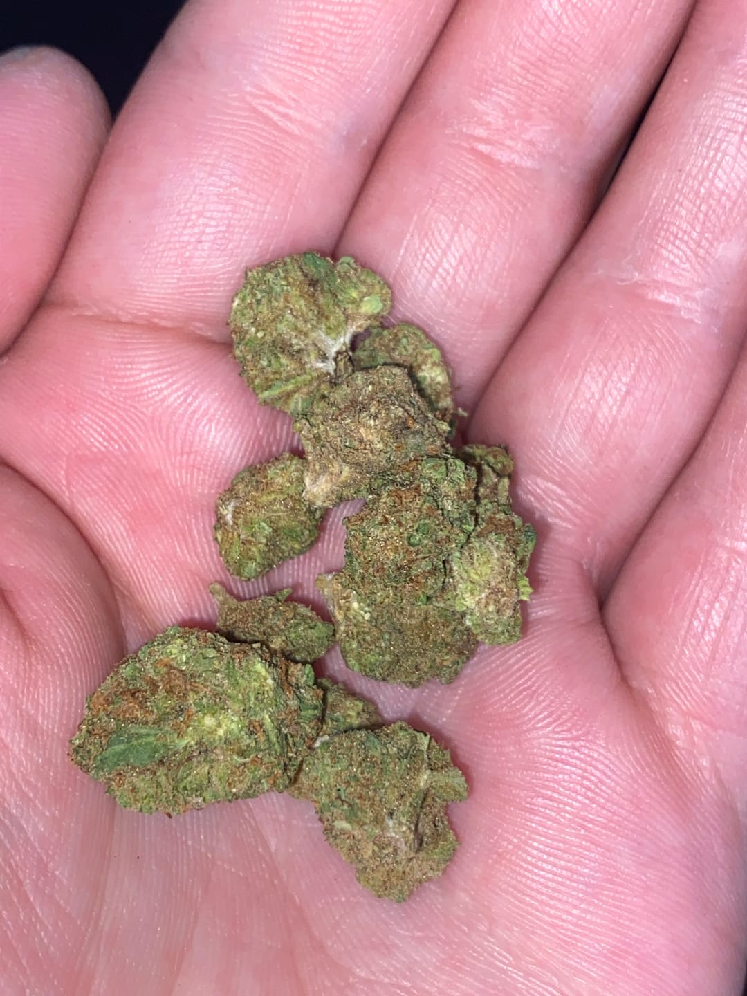 Customer photo review of Exotic Micros