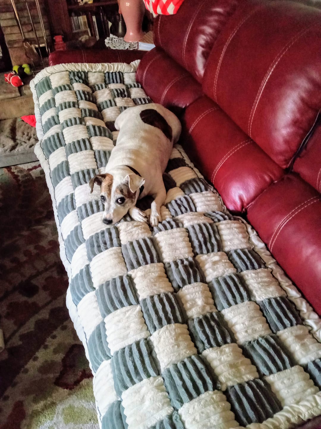 Customer photo review of Original Pet Grooming Vacuum Kit