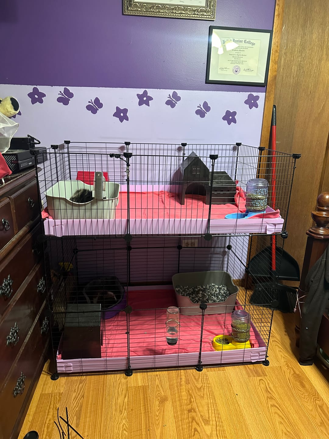 Customer photo review of 2X Coroplast Sheets for C&C Cage