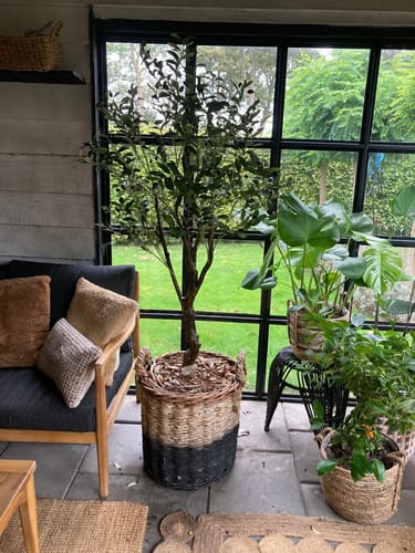 Customer photo review of Kunst Olijfboom 150cm