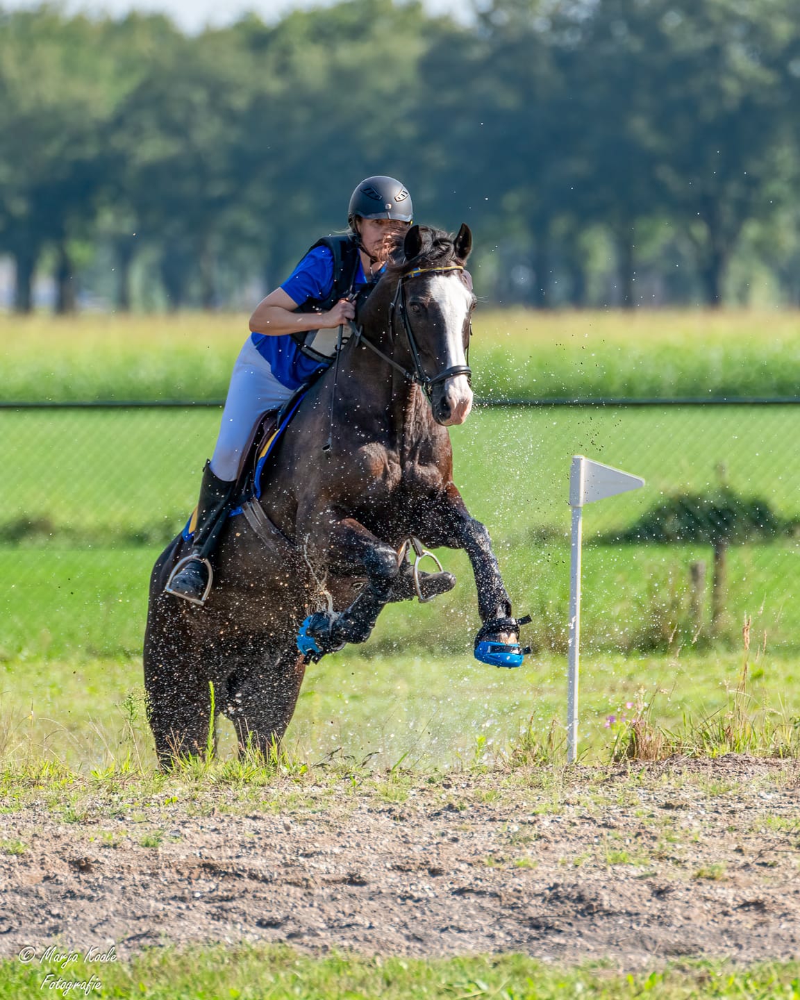 Customer photo review of Renegade® Viper™ Blue Sapphire