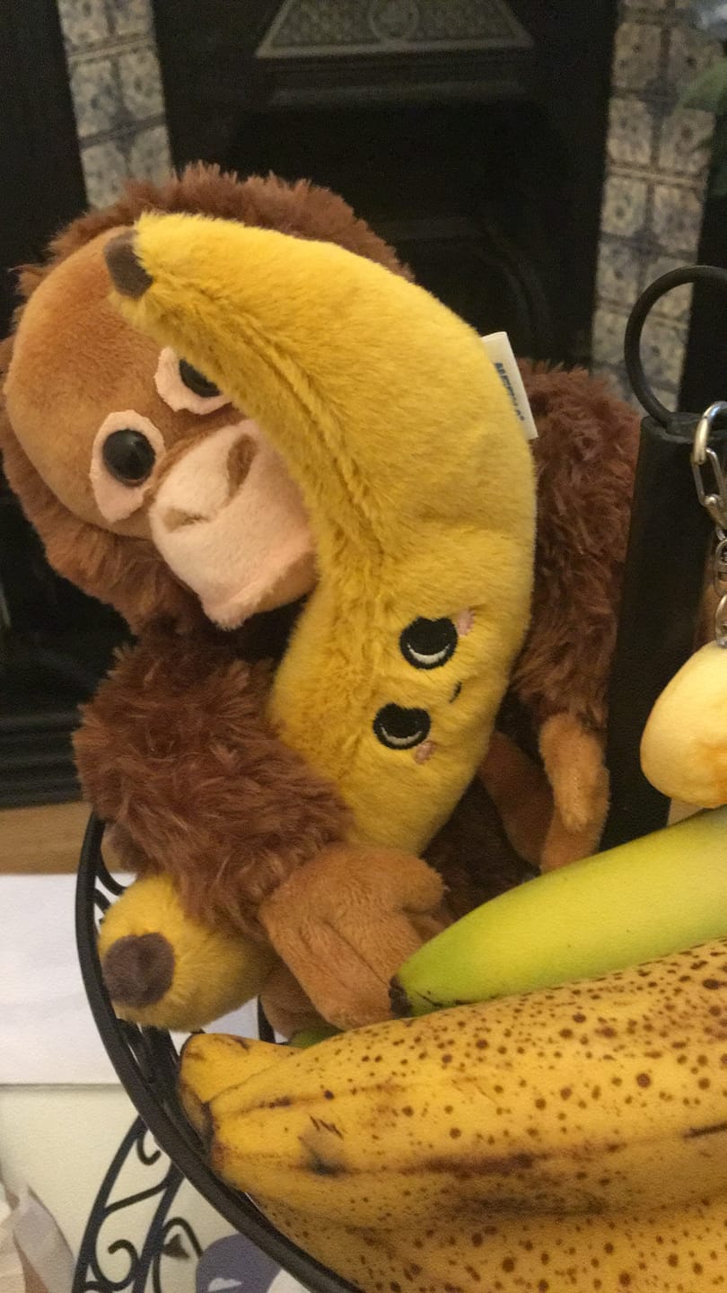 Customer photo review of Cute Fruit and Vegetable Plushies