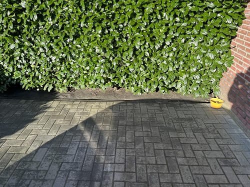 Customer photo review of Maxxbrush® Multibrush 1020W | Incl. Spiral brush (green)