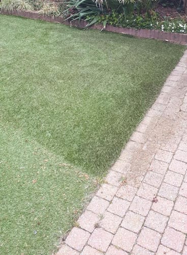 Customer photo review of Maxxbrush® Multibrush 1020W | Incl. Spiral brush (green)