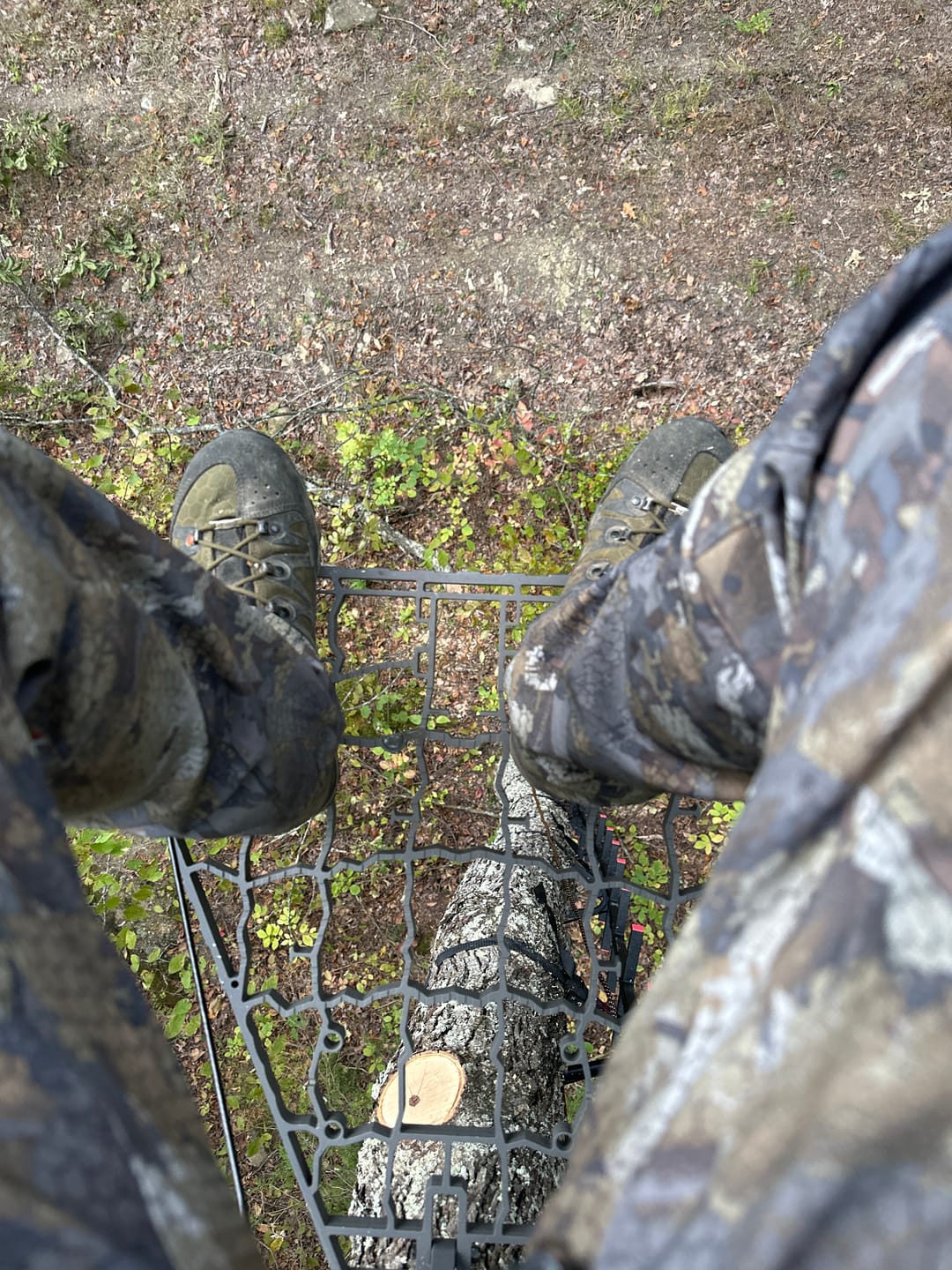 Customer photo review of D'Acquisto Series Hang-On 1.0 / Mobile Hunter ™